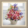 Williams Flower Shop, 3331 Maxwell Rd, Autryville, NC 28318, (910)_567-6961